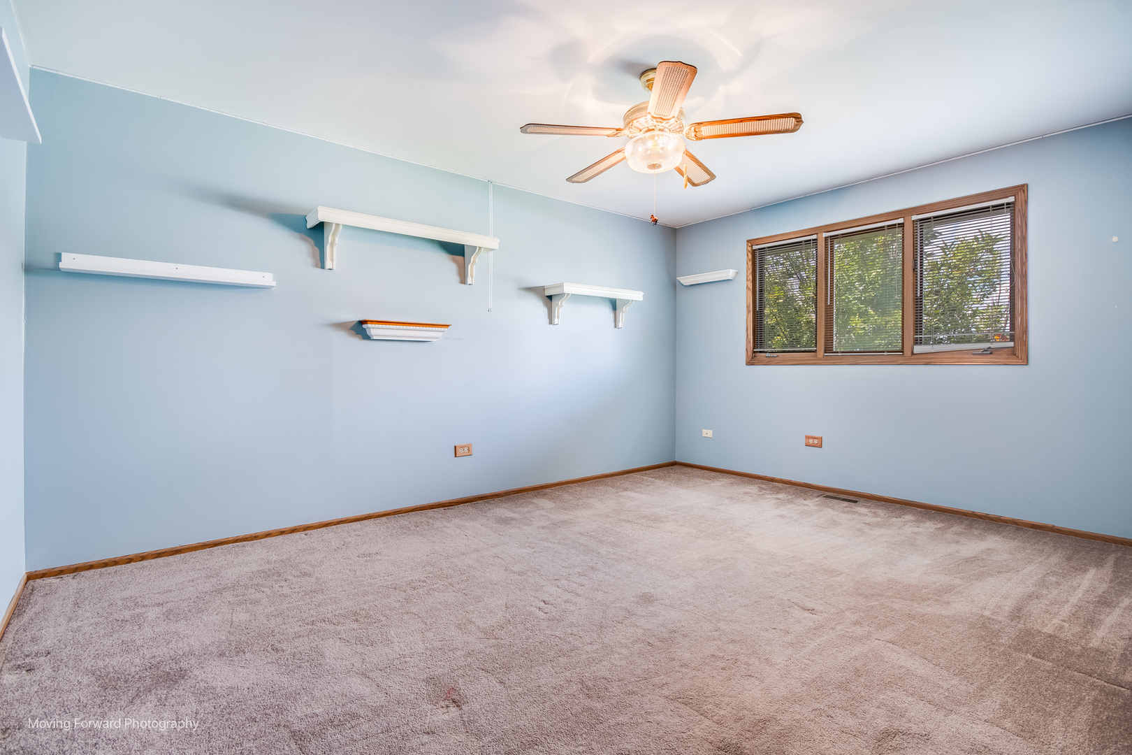 15507 S Willow Court, Homer Glen, IL 60491