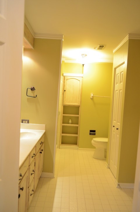 389 Bloomfield Court #389, Vernon Hills, IL 60061