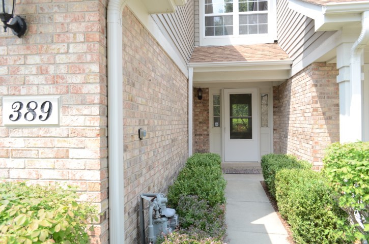389 Bloomfield Court #389, Vernon Hills, IL 60061