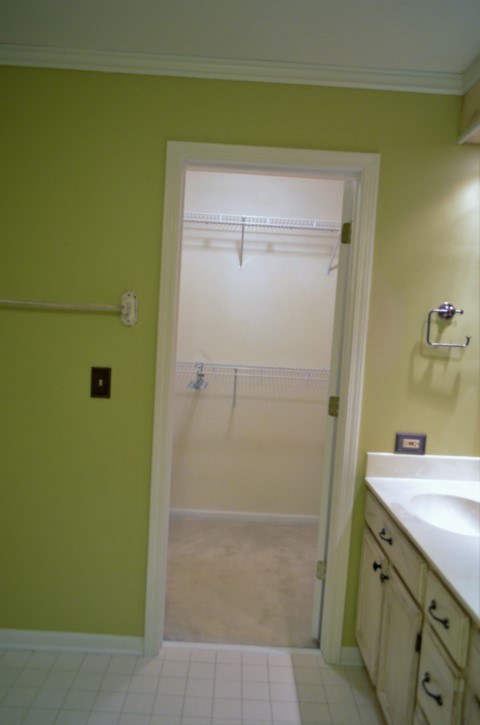 389 Bloomfield Court #389, Vernon Hills, IL 60061