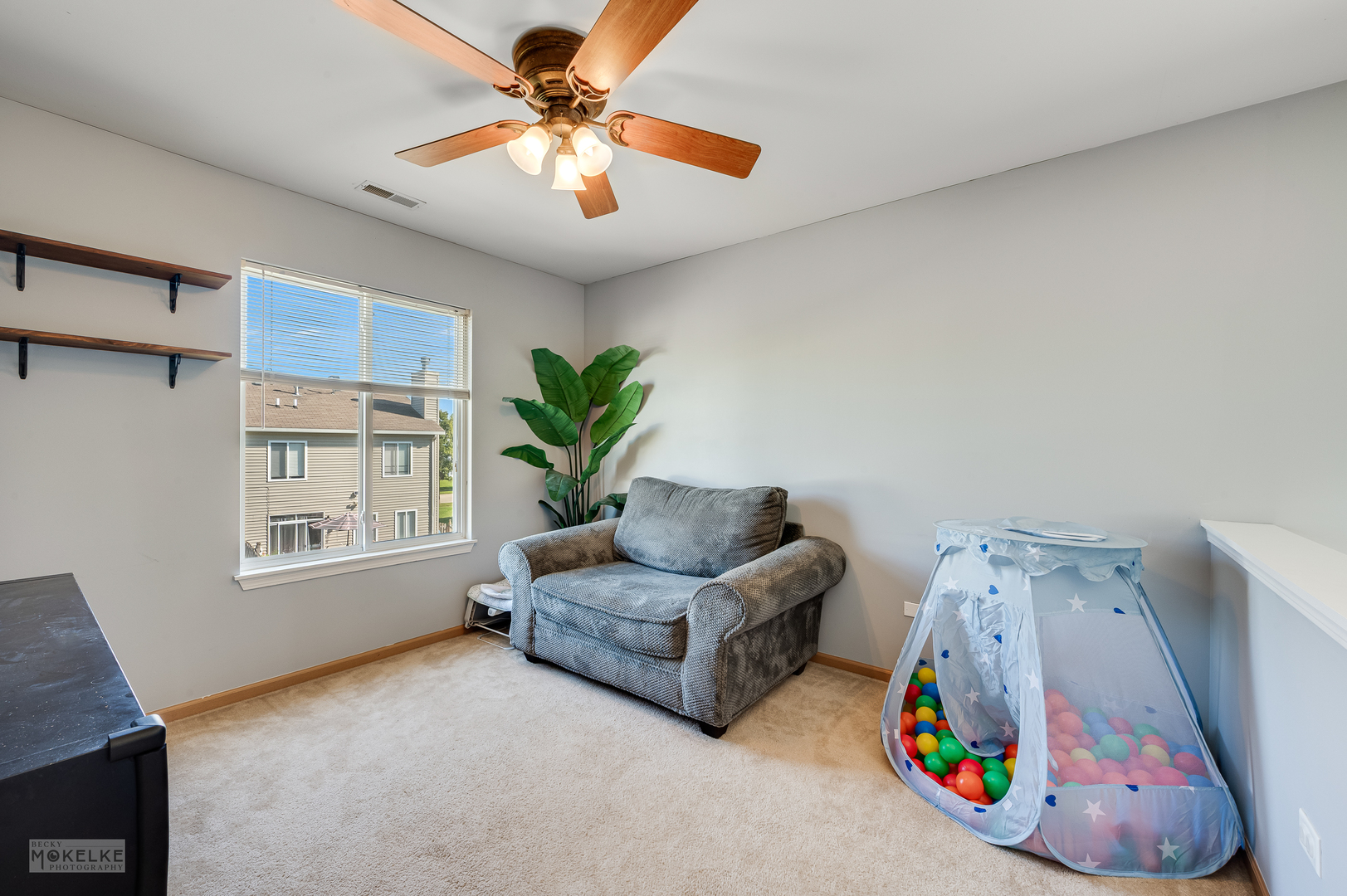 4219 Cummins Street, Plano, IL 60545