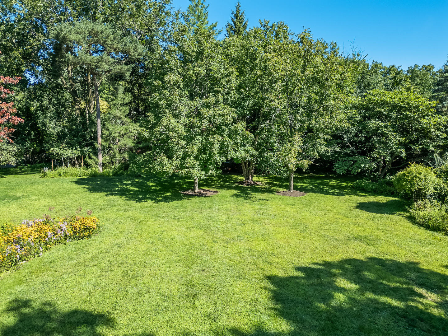 401 Glendale Avenue, Oak Brook, IL 60523