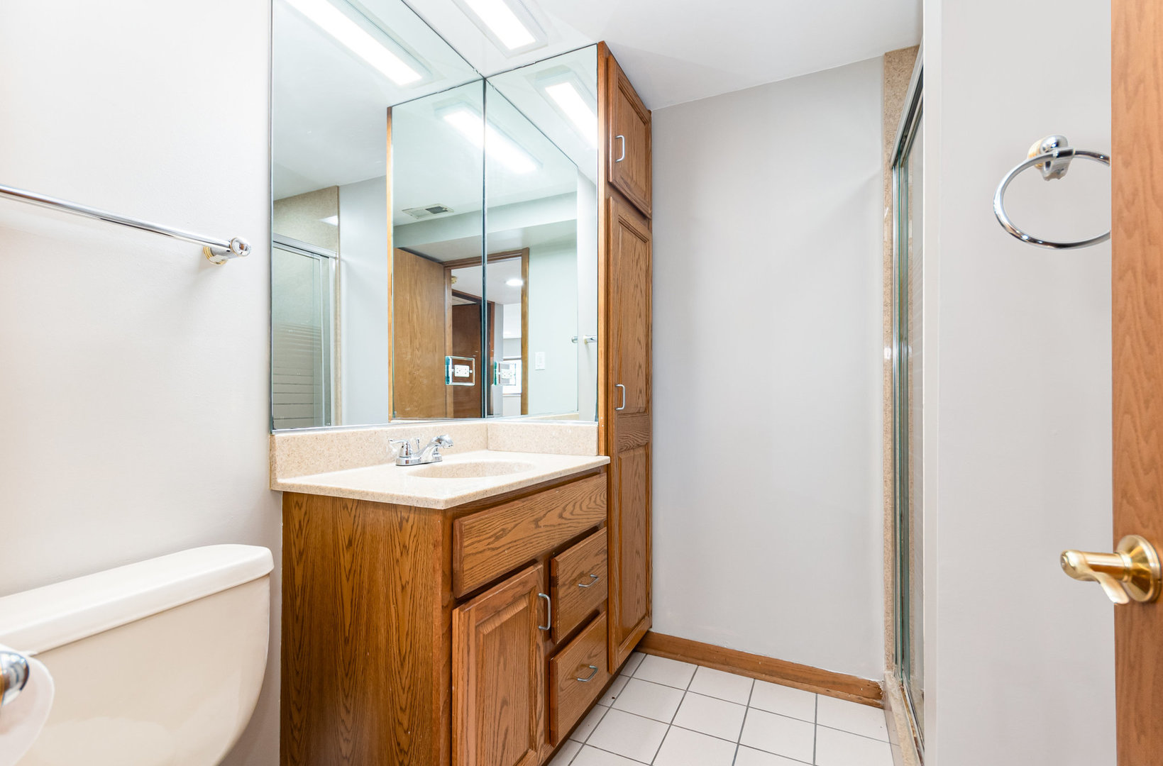 6N325 Linden Avenue, Medinah, IL 60157