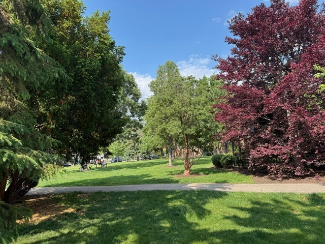 825 PEARSON Avenue #3E, Des Plaines, IL 60016