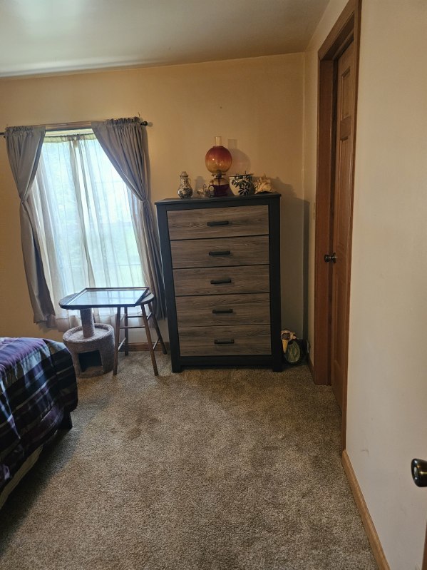 507 N Fifth Street, Ashkum, IL 60911