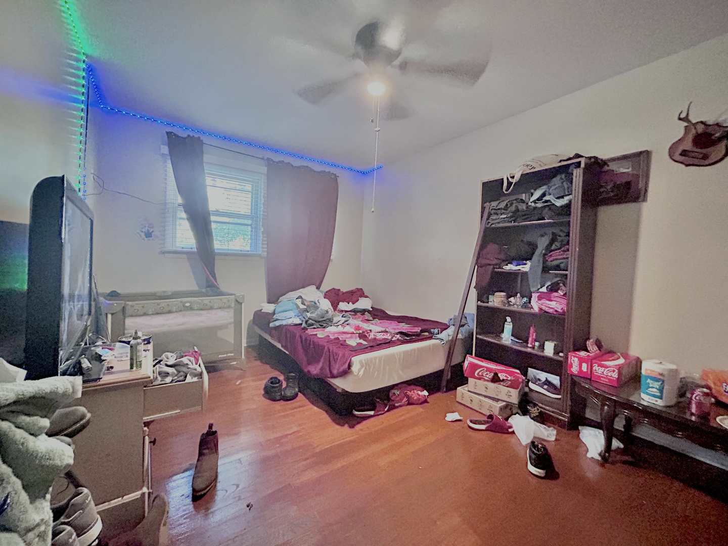 10 N ADAMS Drive, Addison, IL 60101