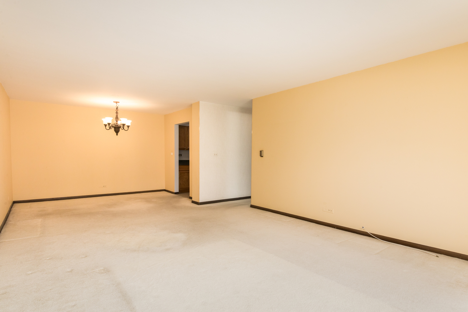 401 Ascot Drive #1C, Park Ridge, IL 60068