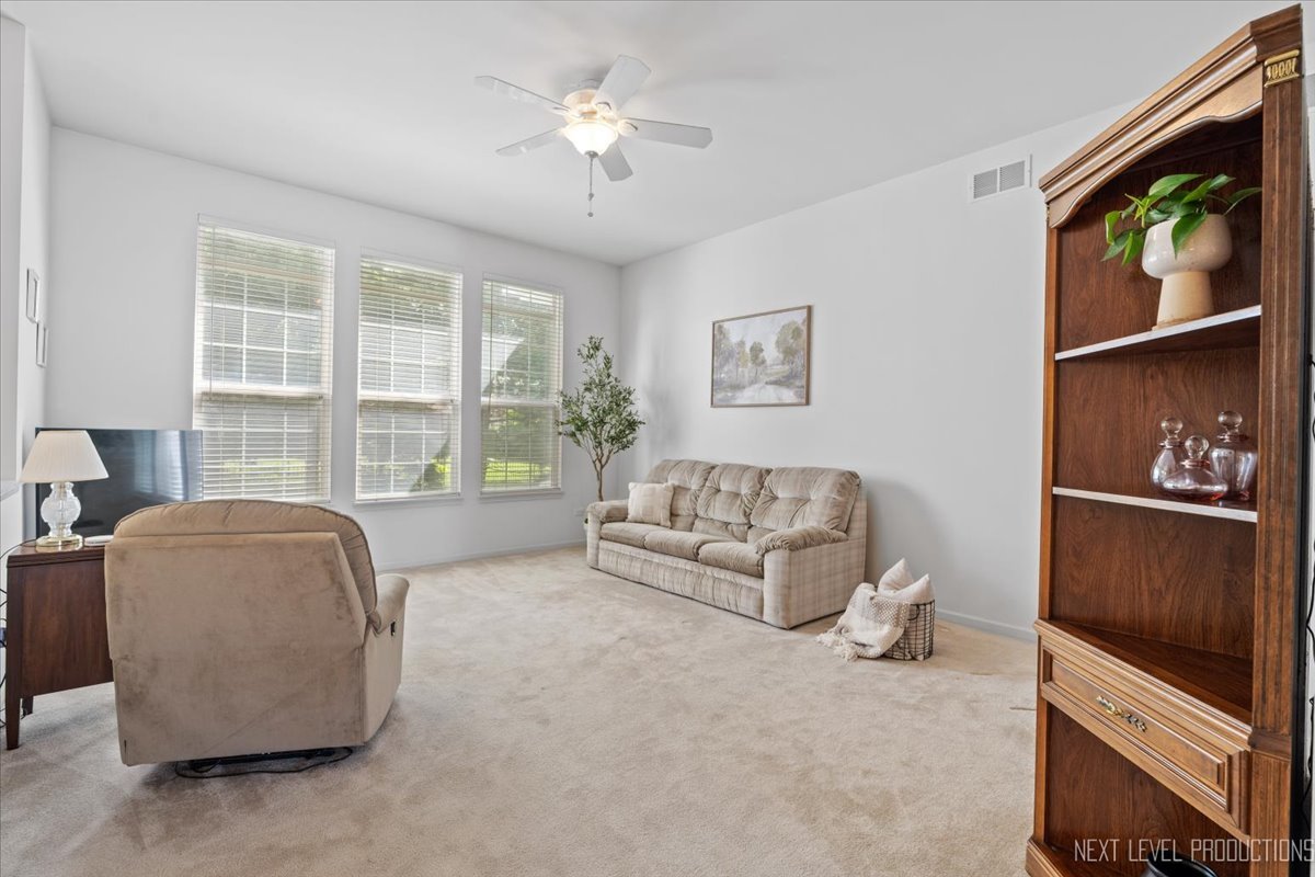 710 Sanctuary Lane, Joliet, IL 60435