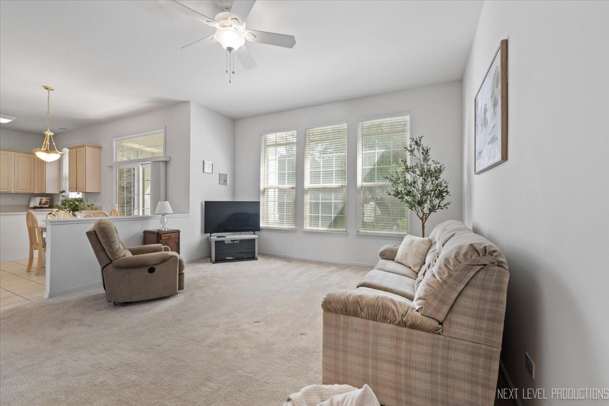 710 Sanctuary Lane, Joliet, IL 60435