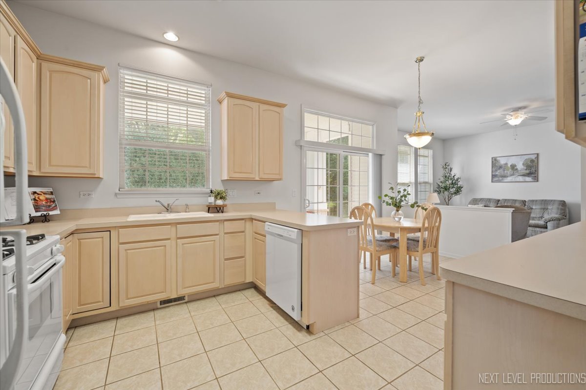 710 Sanctuary Lane, Joliet, IL 60435