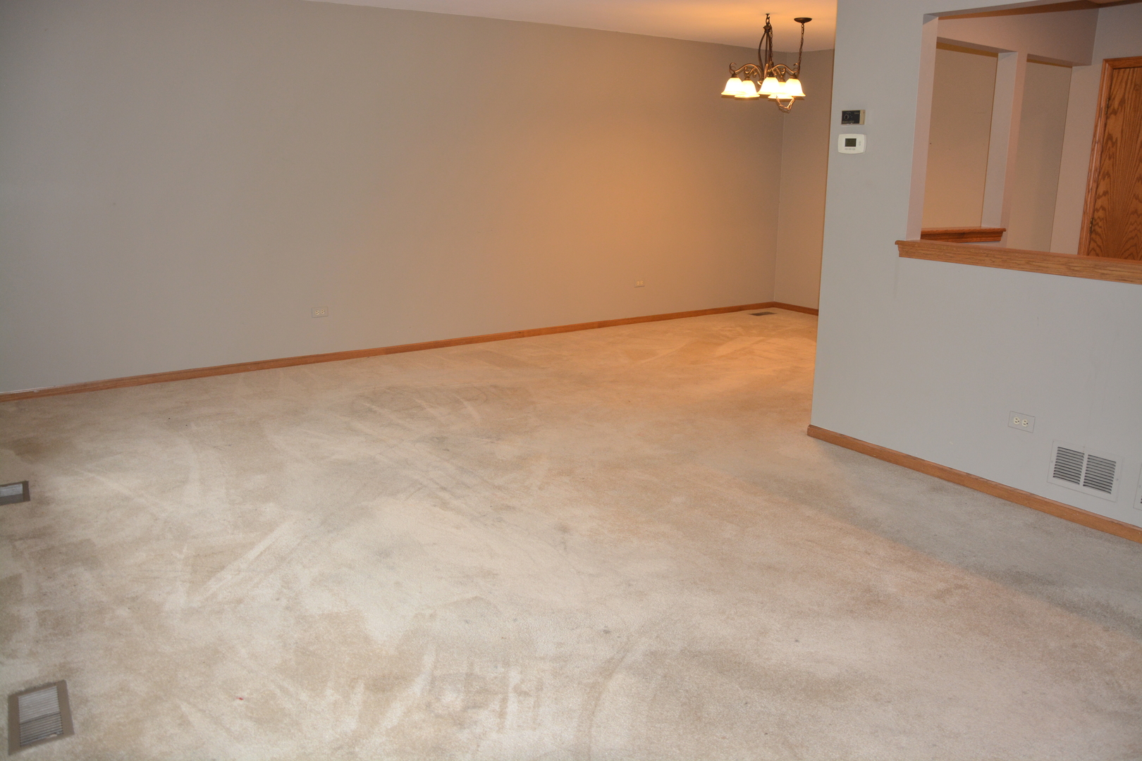 17155 Kamp Court #9, Tinley Park, IL 60487