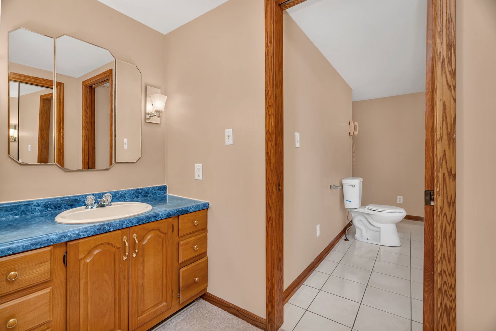 485 Trotter Drive, Coal City, IL 60416