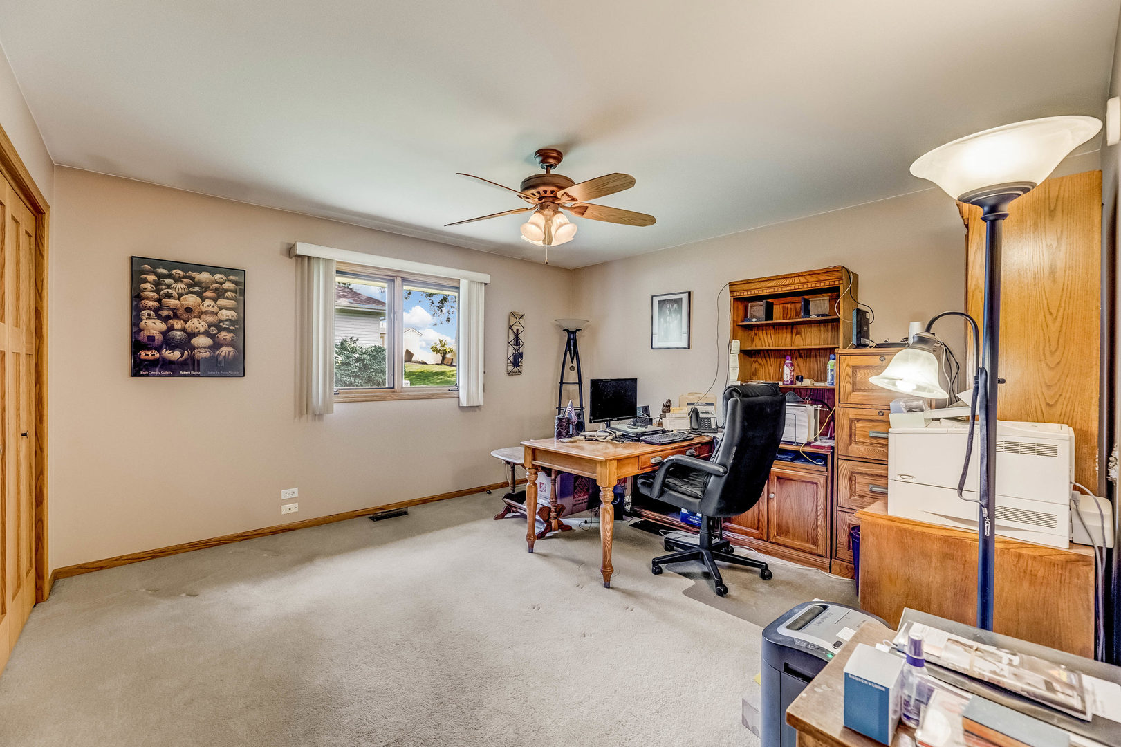 13017 W Hiawatha Drive, Homer Glen, IL 60491