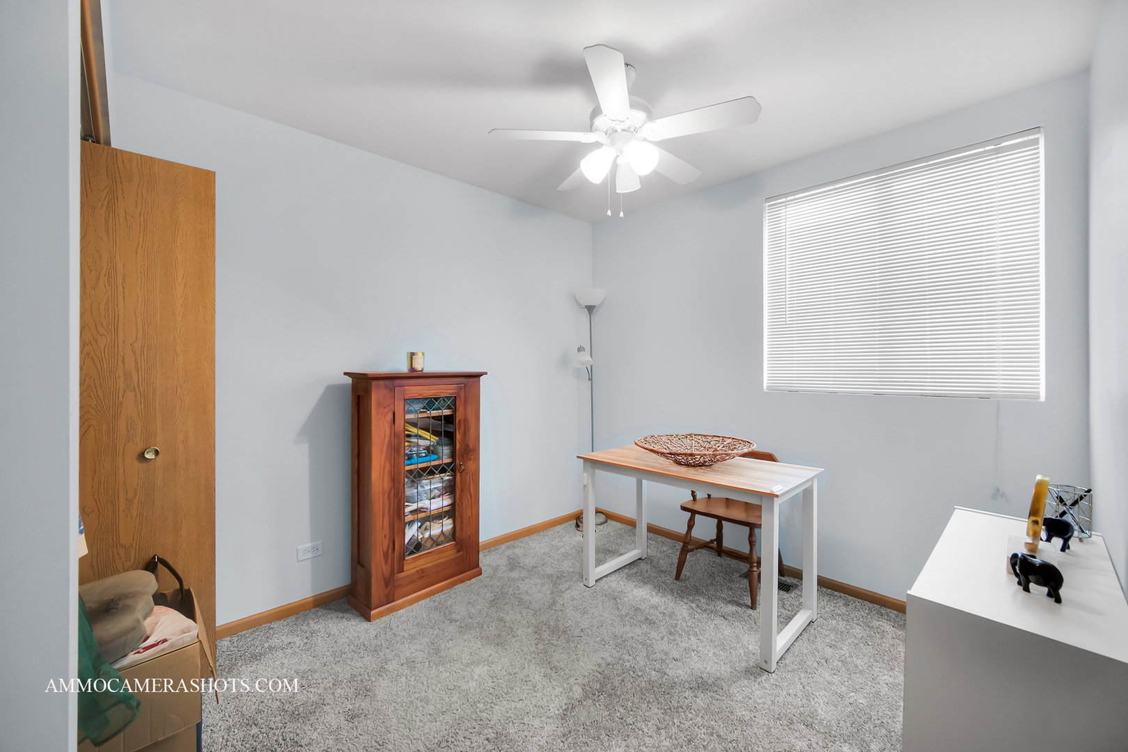 715 Serendipity Drive #715, Aurora, IL 60504