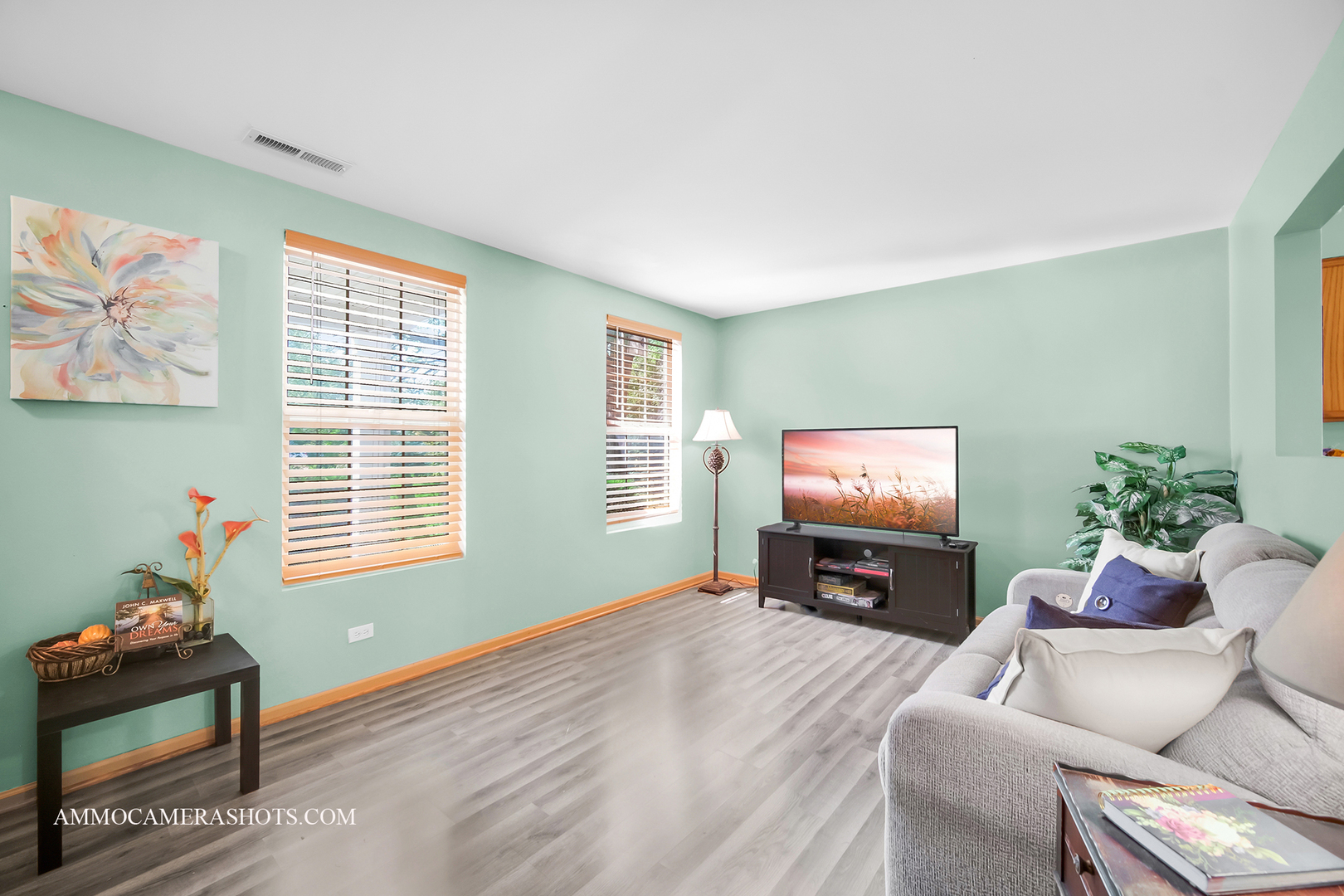 715 Serendipity Drive #715, Aurora, IL 60504
