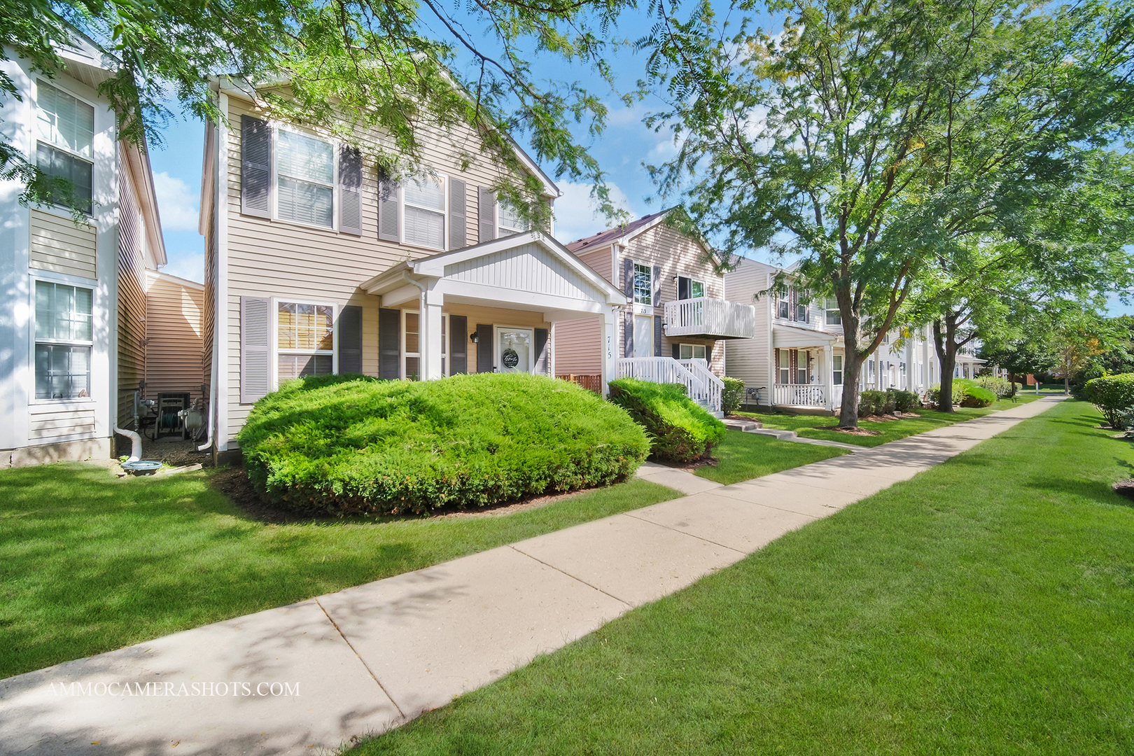 715 Serendipity Drive #715, Aurora, IL 60504