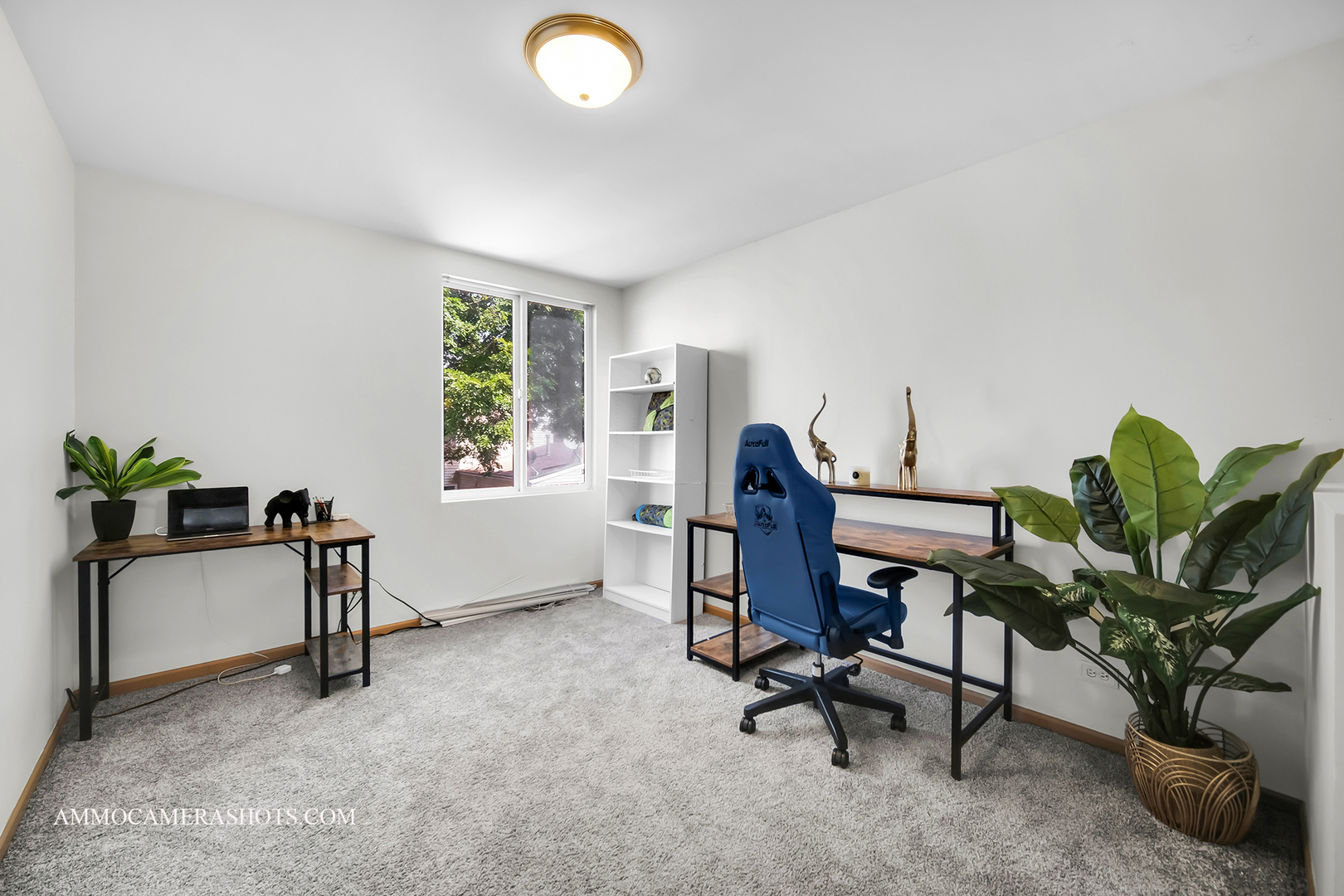 715 Serendipity Drive #715, Aurora, IL 60504