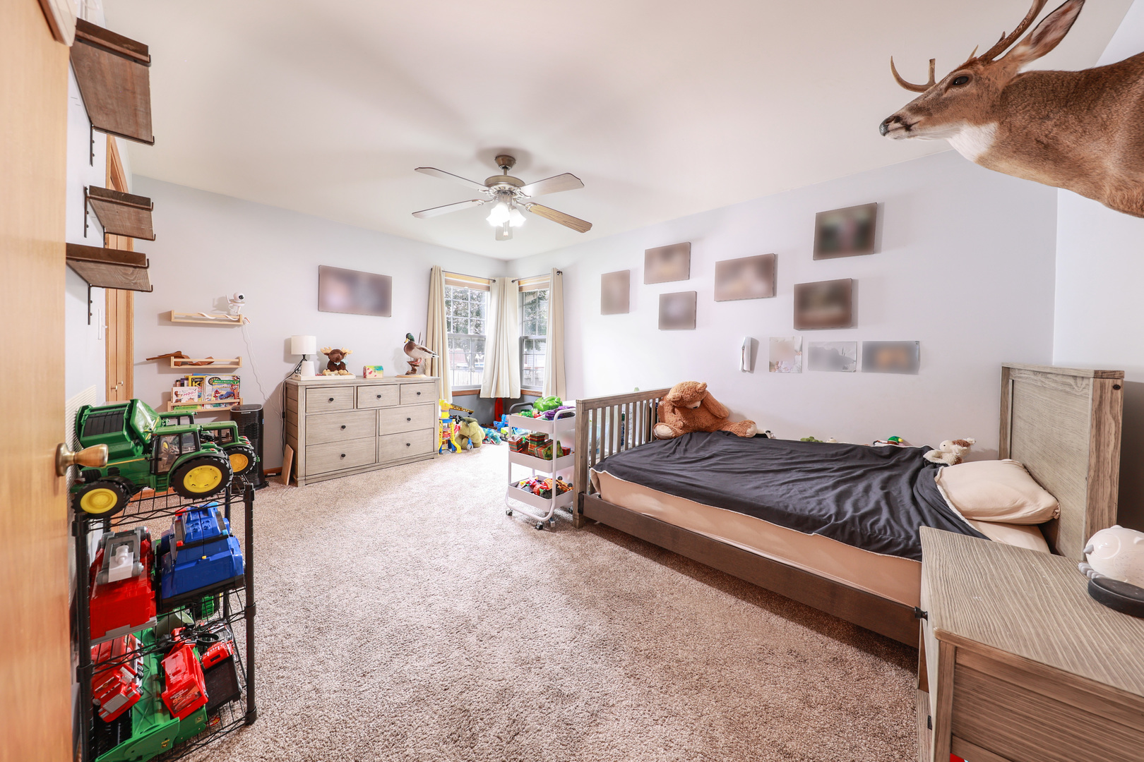 1115 Crystal Lane, Diamond, IL 60416