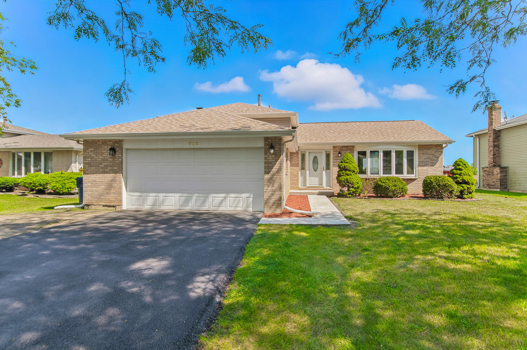 733 Old Meadow Road, Matteson, IL 60443