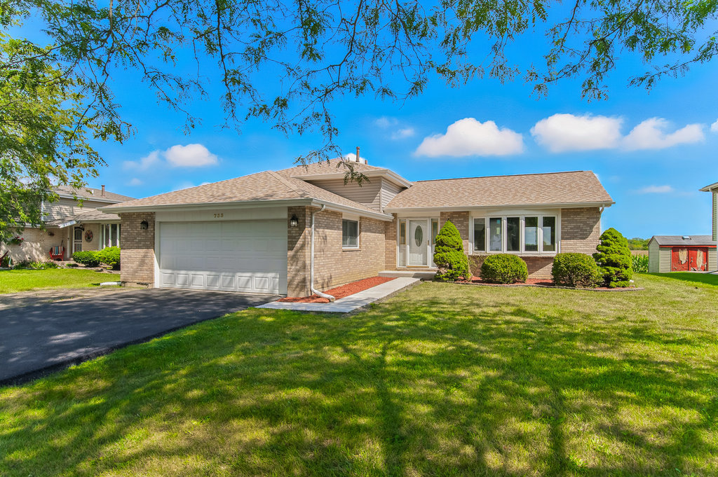 733 Old Meadow Road, Matteson, IL 60443