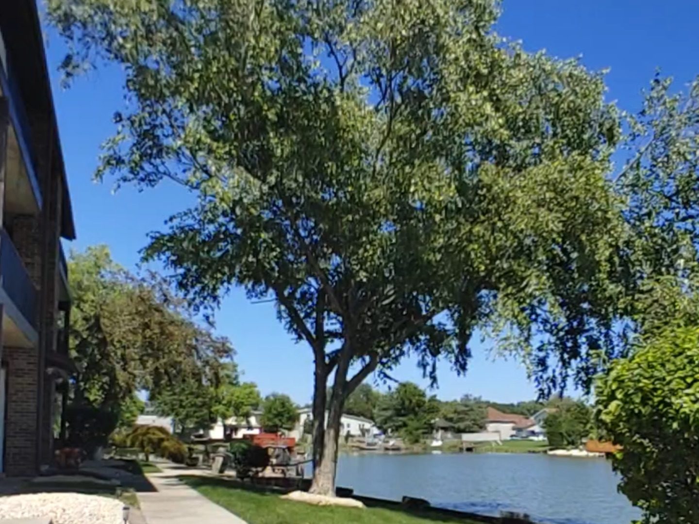 19503 Lake Shore Drive #3N, Lynwood, IL 60411