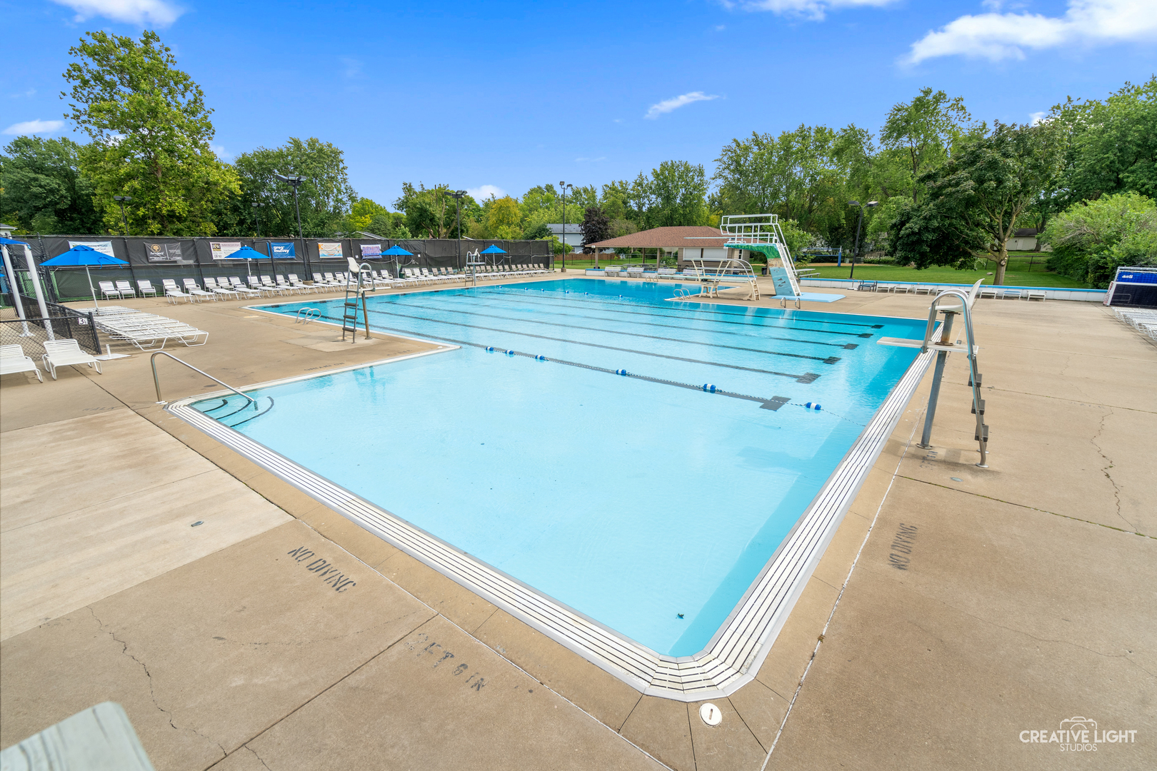1423 Meander Drive, Naperville, IL 60565