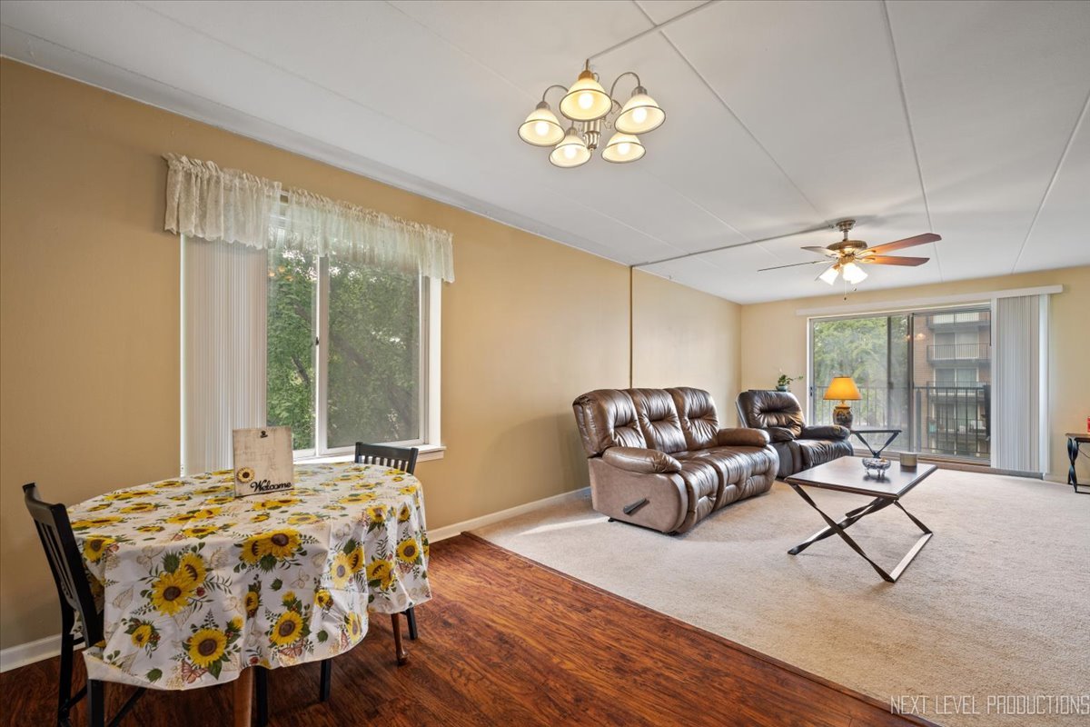 5S040 Pebblewood Lane #E306, Naperville, IL 60563