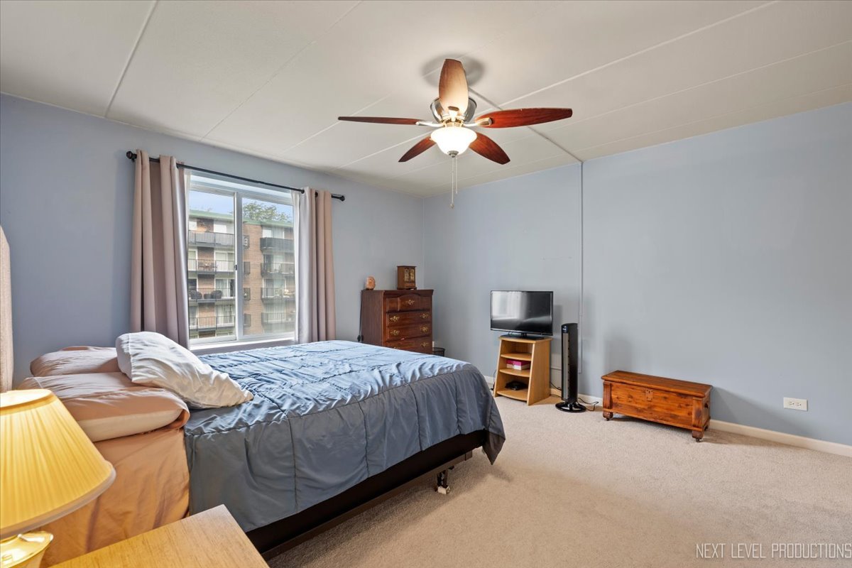 5S040 Pebblewood Lane #E306, Naperville, IL 60563