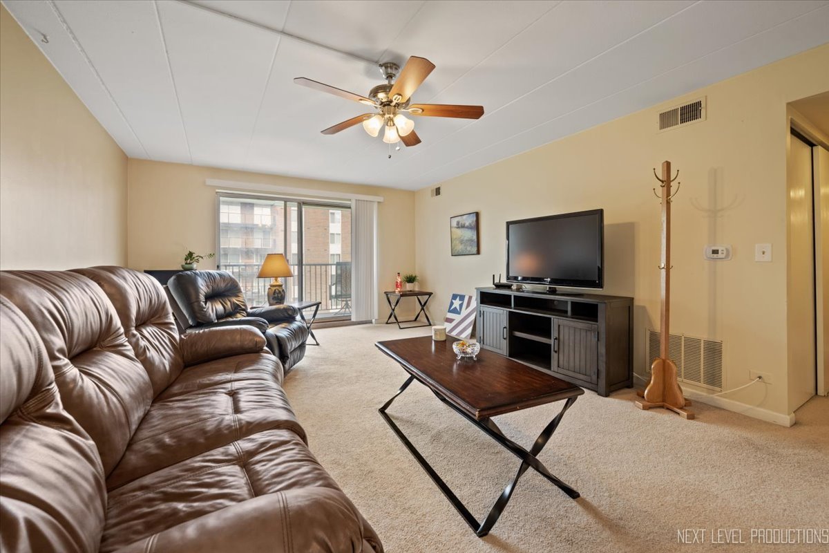 5S040 Pebblewood Lane #E306, Naperville, IL 60563