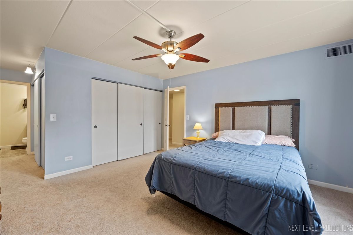 5S040 Pebblewood Lane #E306, Naperville, IL 60563