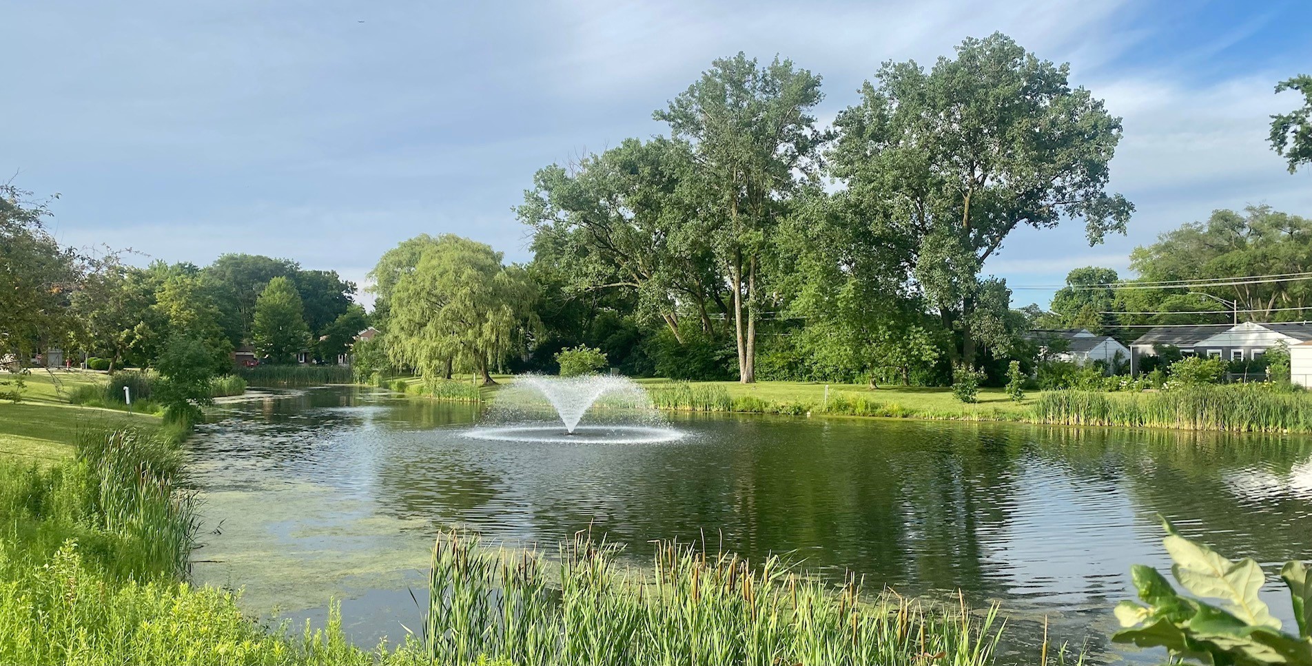 2993 Curtis Street #44B, Des Plaines, IL 60018