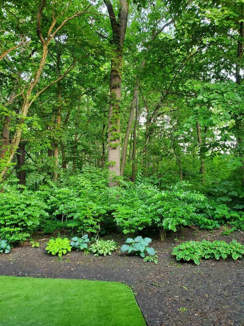 9051 Archer Avenue, Willow Springs, IL 60480