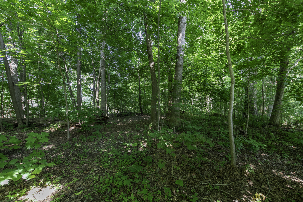 1810 5th Street, Winthrop Harbor, IL 60096