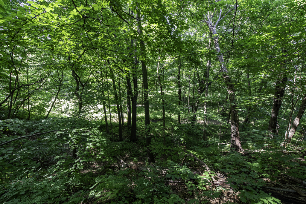 1810 5th Street, Winthrop Harbor, IL 60096