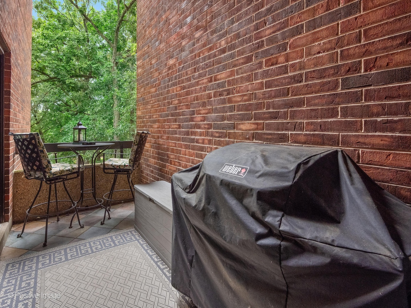 1401 Burr Oak Road #309B, Hinsdale, IL 60521