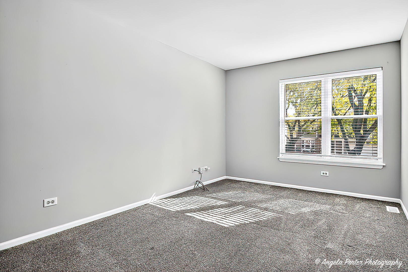 1161 Hampton Lane, Mundelein, IL 60060