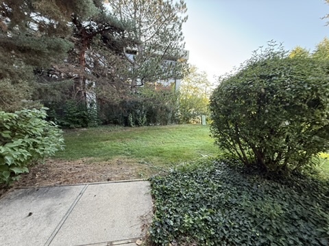 5513 Barclay Court, Clarendon Hills, IL 60514