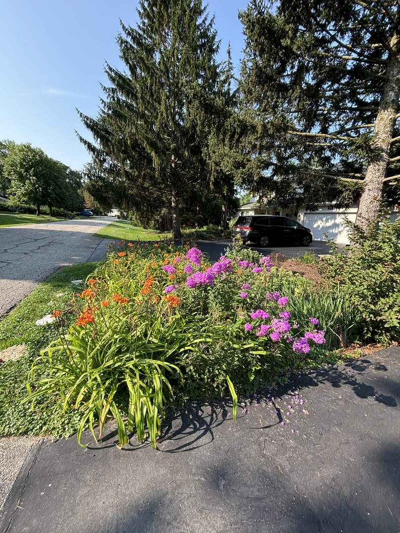 10S506 Whittington Lane, Naperville, IL 60564