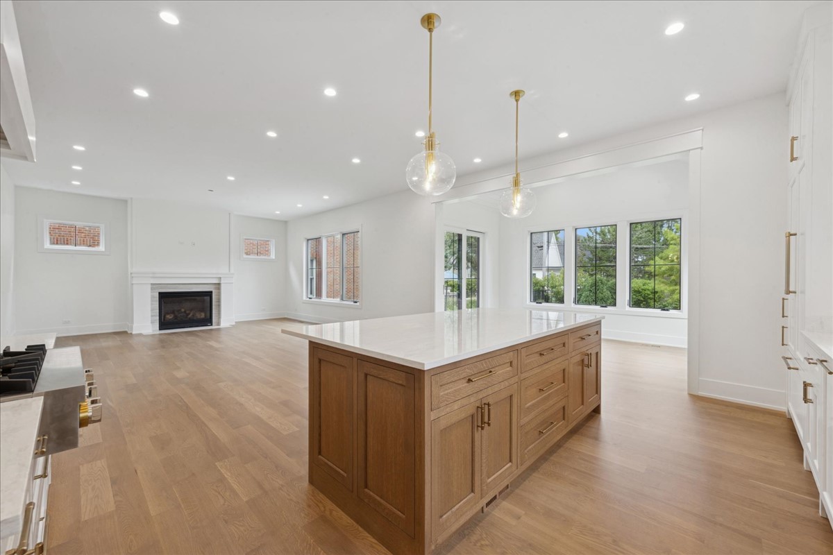 153 S Kenmore Avenue, Elmhurst, IL 60126