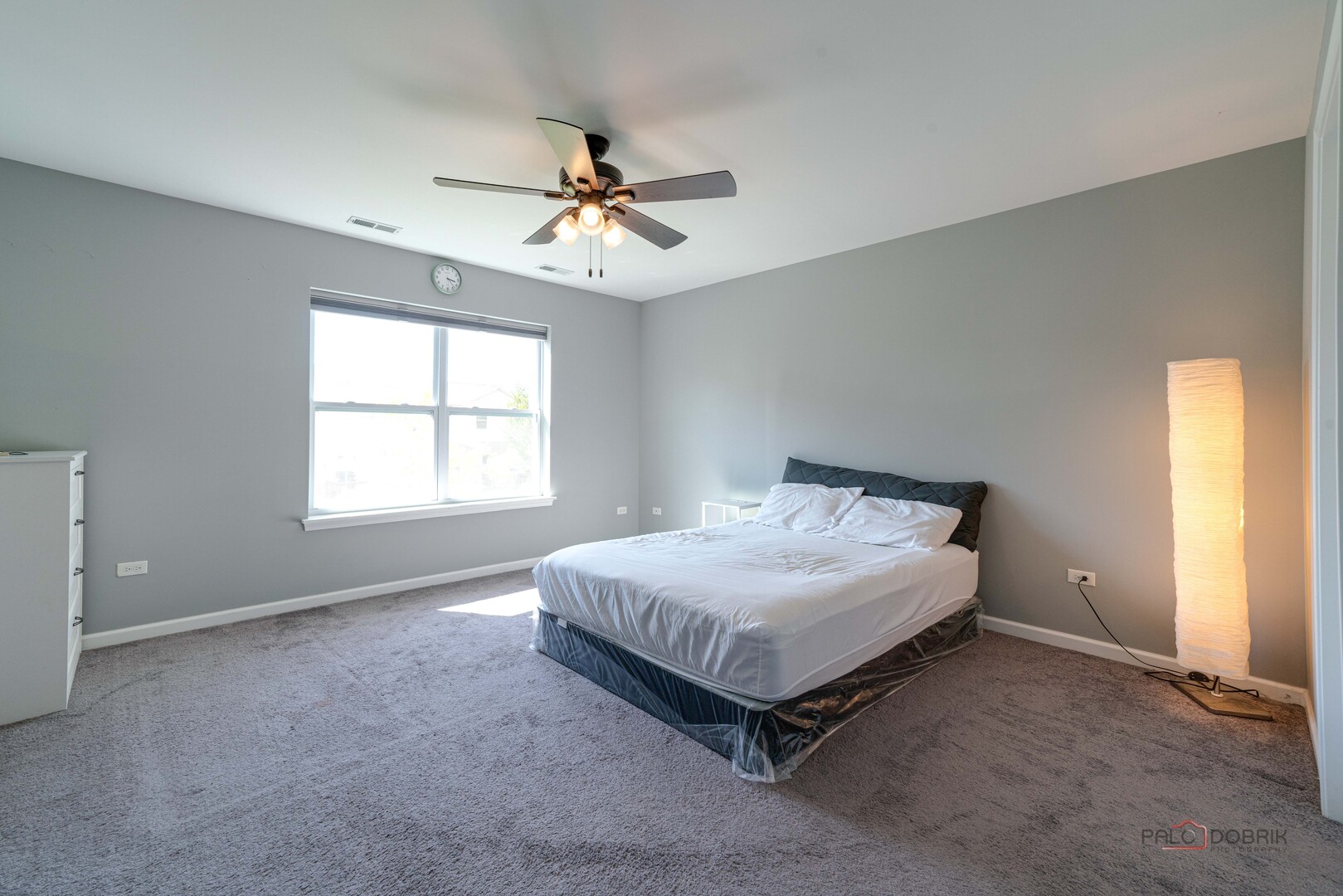2366 N Newberry Lane, Palatine, IL 60074