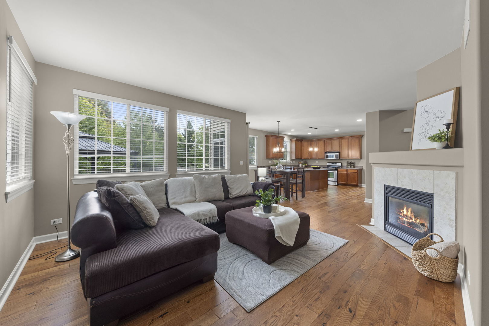 427 Glover Drive, North Aurora, IL 60542