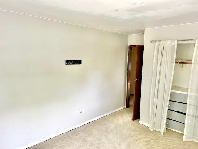 1239 E Carpenter Drive, Palatine, IL 60074