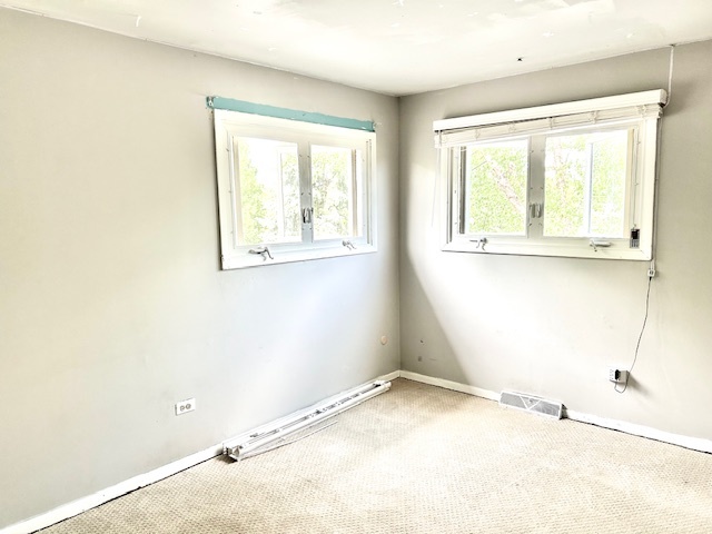 1239 E Carpenter Drive, Palatine, IL 60074