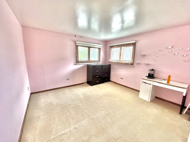 1239 E Carpenter Drive, Palatine, IL 60074