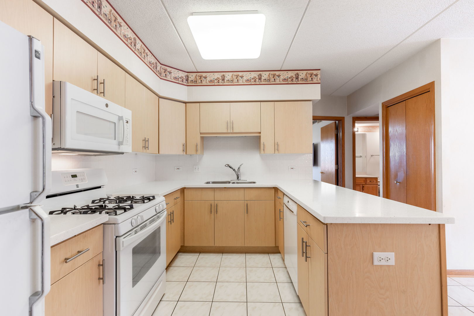 675 Pearson Street #710, Des Plaines, IL 60016