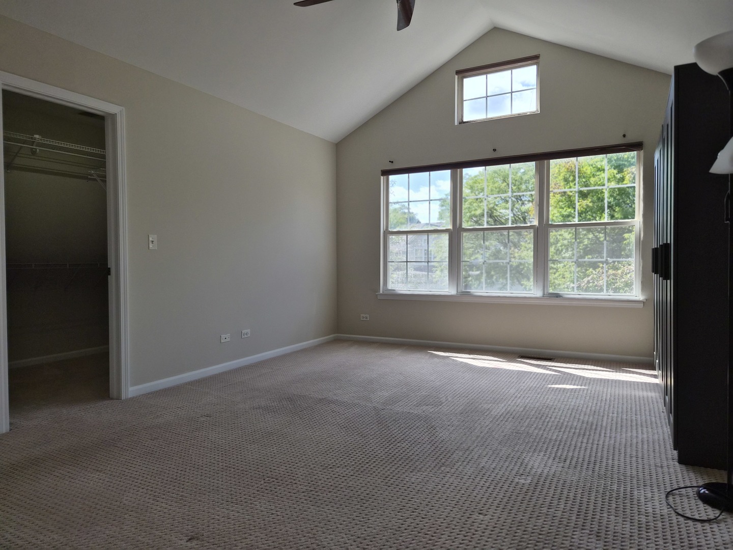 3064 SERENITY Lane #3064, Naperville, IL 60564
