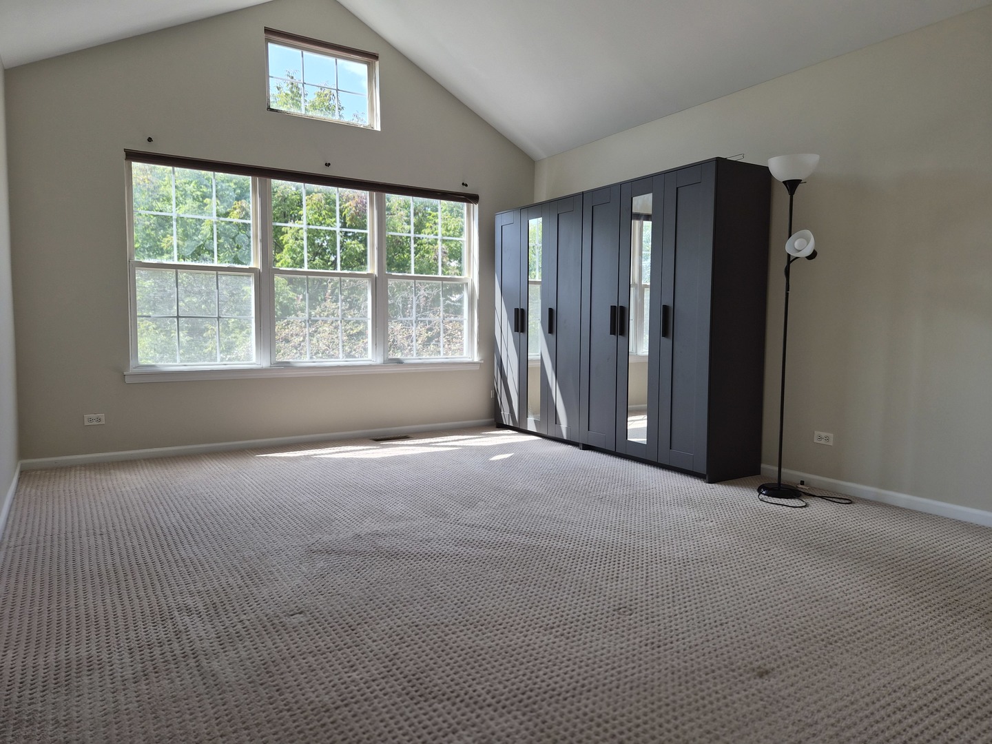 3064 SERENITY Lane #3064, Naperville, IL 60564