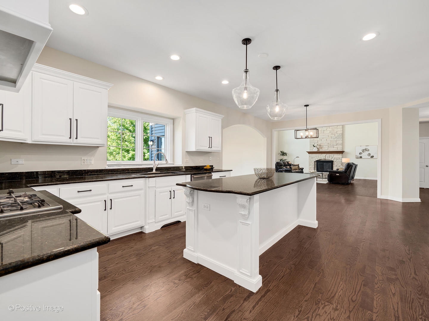 13306 Rosewood Lane, Plainfield, IL 60585