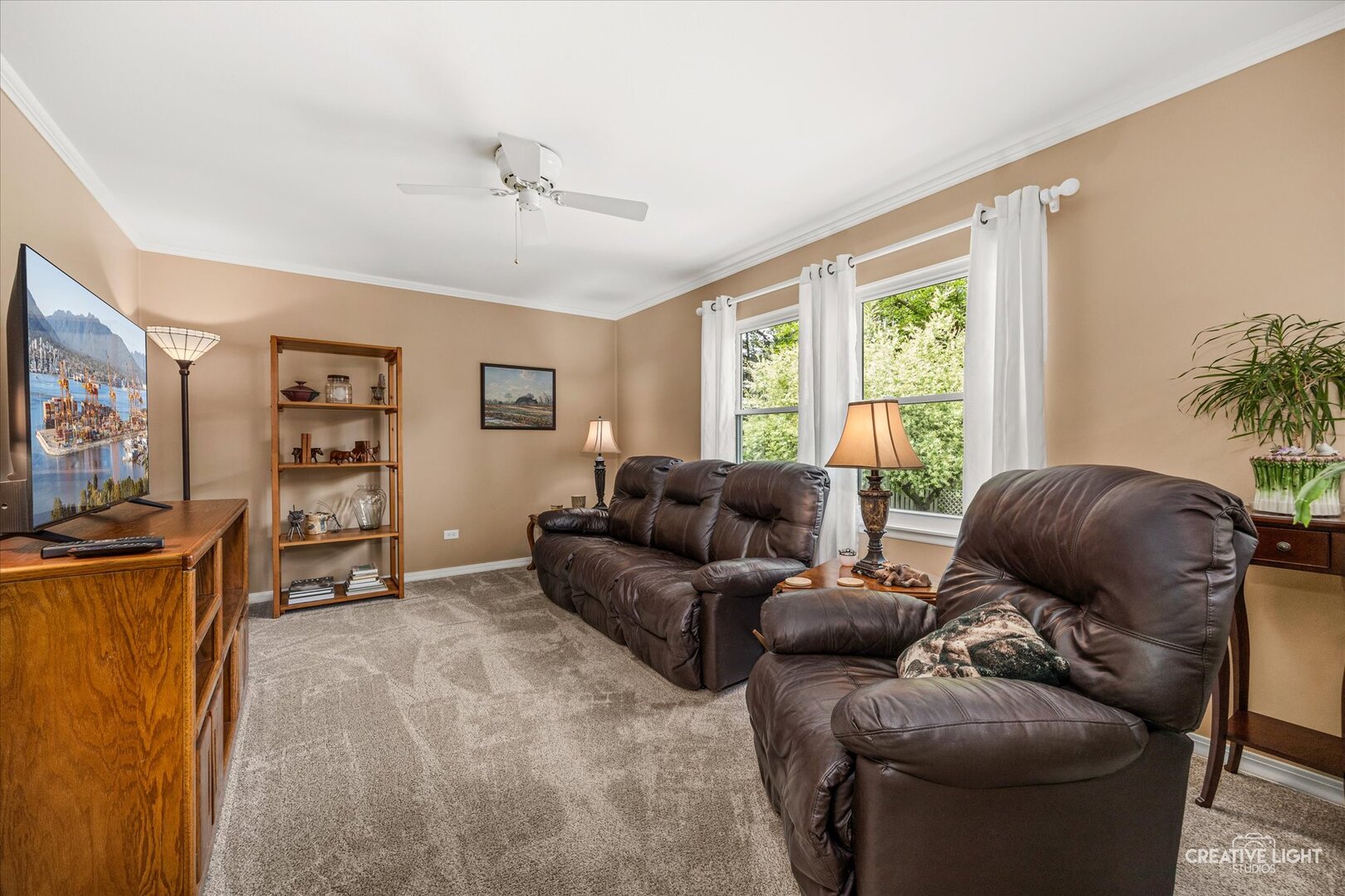 29 Tupelo Avenue, Naperville, IL 60540
