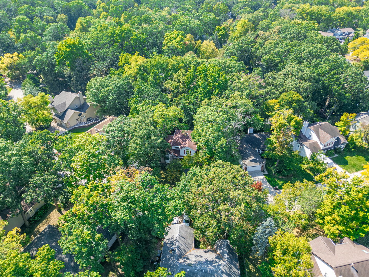 1108 Oak Ridge Drive, Streamwood, IL 60107